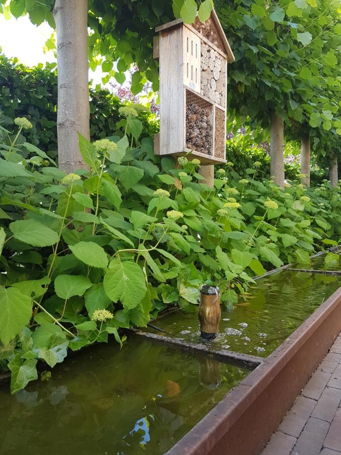 Hotel Essenza Puurs Екстериор снимка